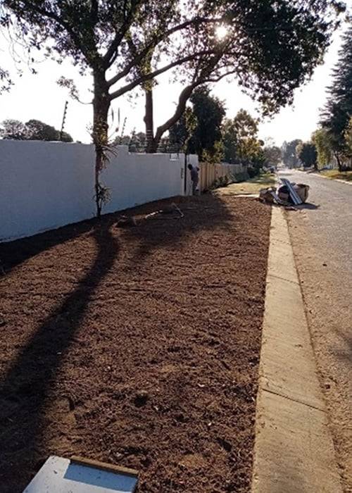 Sadia Instant Lawns | Lawn Care | Residential, Commercial Landscape Design