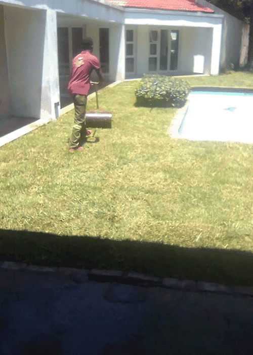 Lawn Care | Drainage Systems | Garden Design | Garden Maintenance