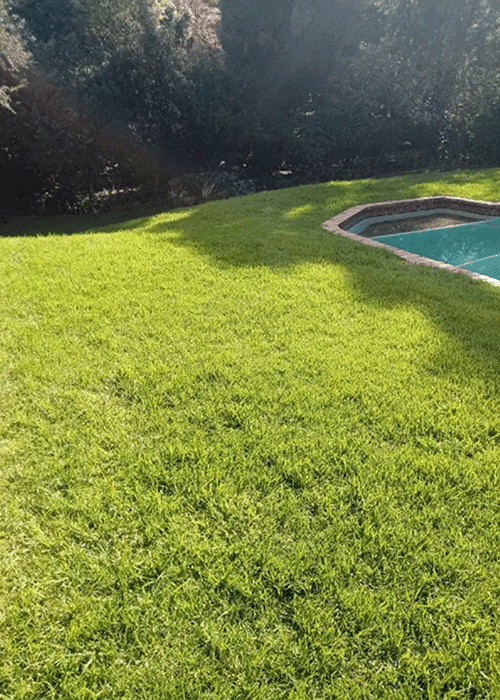 Lawn Care | Drainage Systems | Garden Design | Garden Maintenance