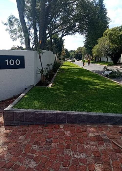Sadia Instant Lawns | Lawn Care | Residential, Commercial Landscape Design