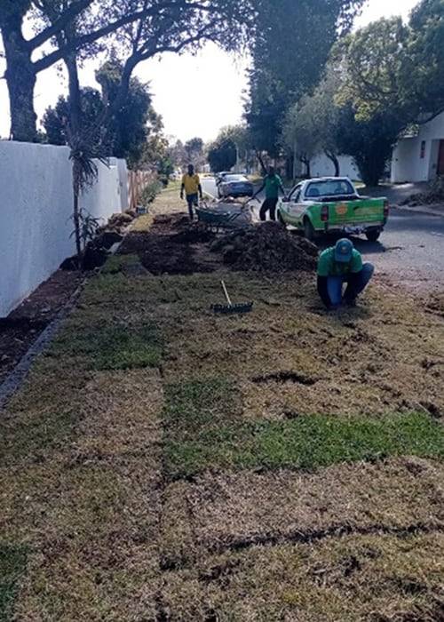 Sadia Instant Lawns | Lawn Care | Residential, Commercial Landscape Design