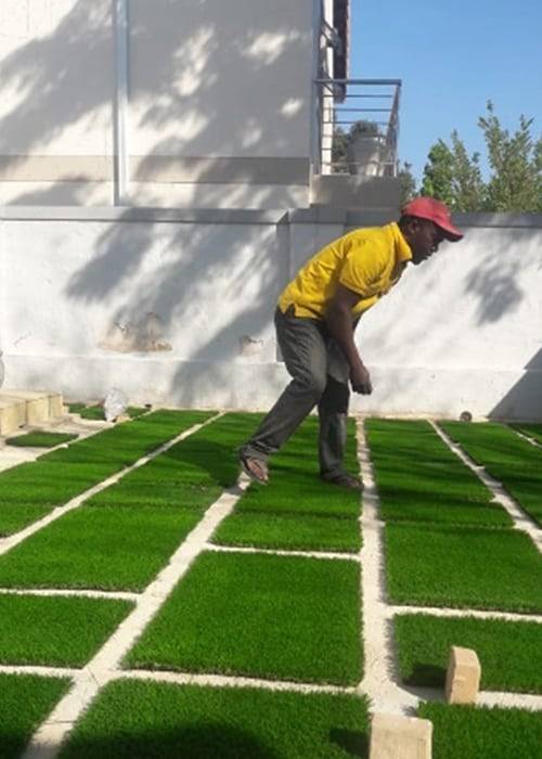 Garden Design | Decking | Drainage Systems | Garden Maintenance