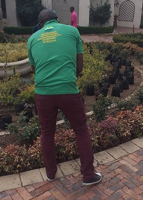 Cobble Stones & Stepping Stones | Garden Design | Instant Lawns