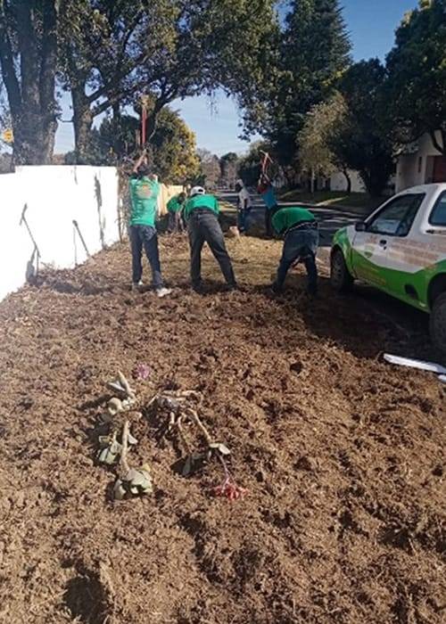 Sadia Instant Lawns | Lawn Care | Residential, Commercial Landscape Design