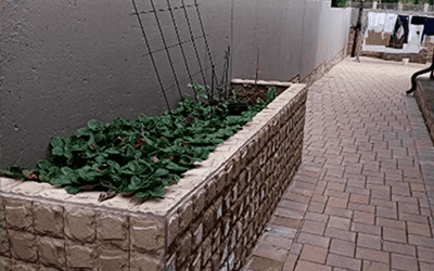 Paving & Basketball Ball Court Construction