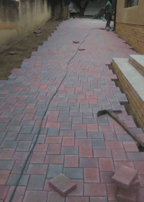 Instant Lawns | Garden Design | Landscaping & Building Construction