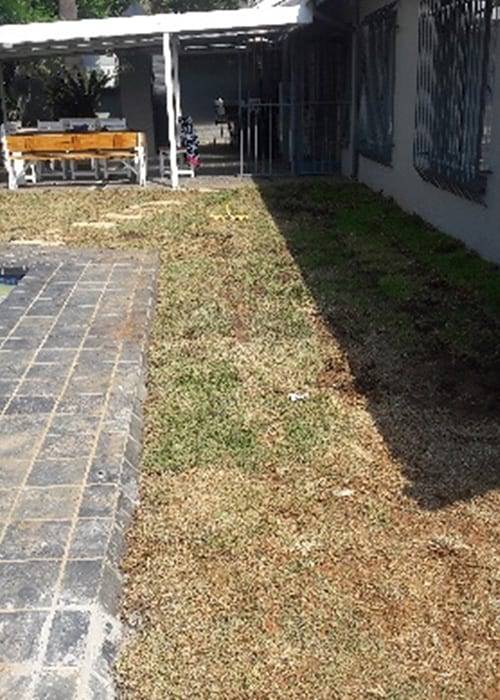 Tina Instant Lawns | Lawn Care
