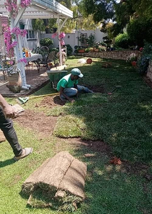 Tina Instant Lawns | Lawn Care