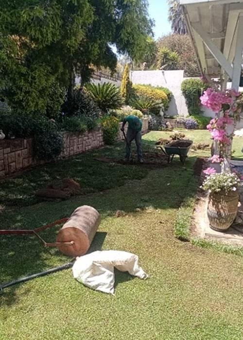 Tina Instant Lawns | Lawn Care