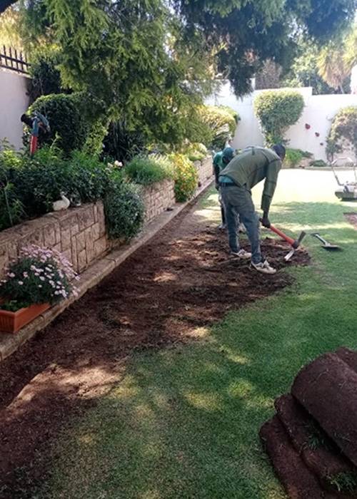 Tina Instant Lawns | Lawn Care