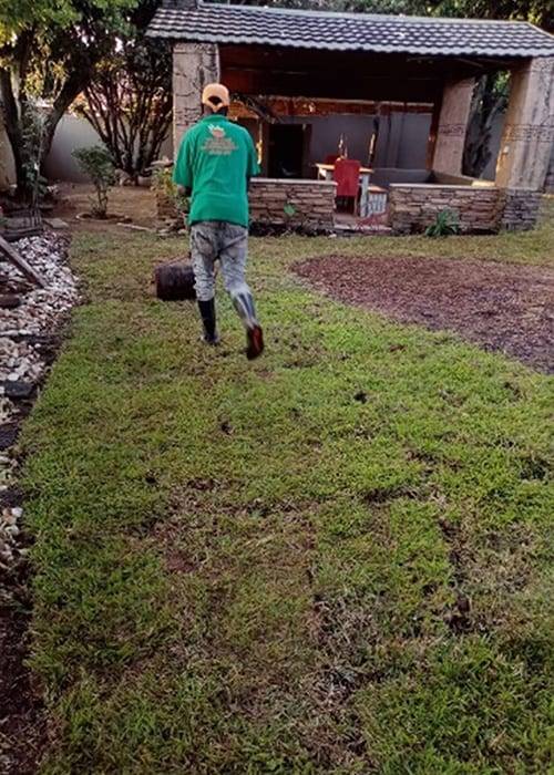 Theo Garden Maintenance | Instant Lawns | Lawn Care