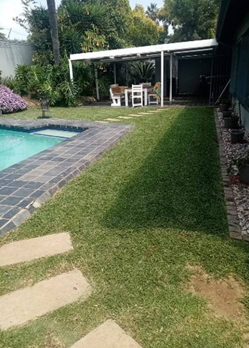 Tina Instant Lawns | Lawn Care