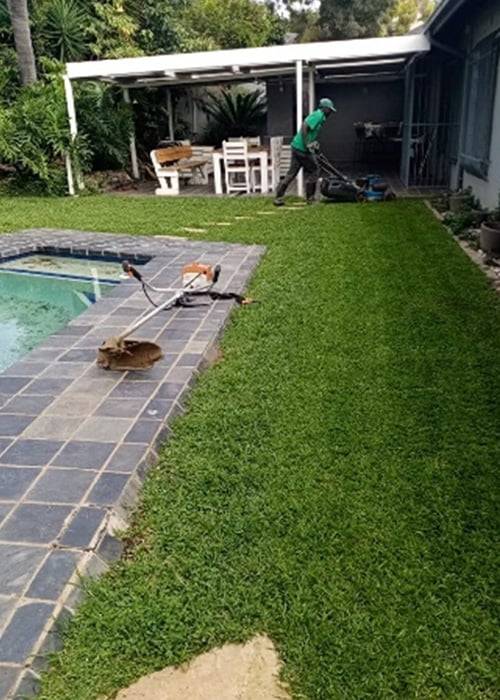 Tina Instant Lawns | Lawn Care