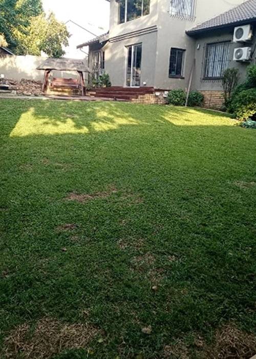Theo Garden Maintenance | Instant Lawns | Lawn Care