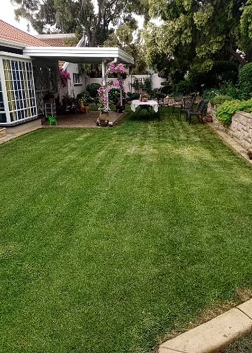 Tina Instant Lawns | Lawn Care