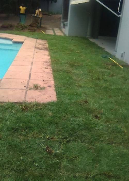 Instant Lawn Lawn Care | Instant Lawns