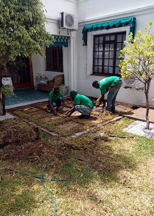 Lori Cobble Stones & Stepping Stones | Instant Lawns | Landscaping & Building Construction