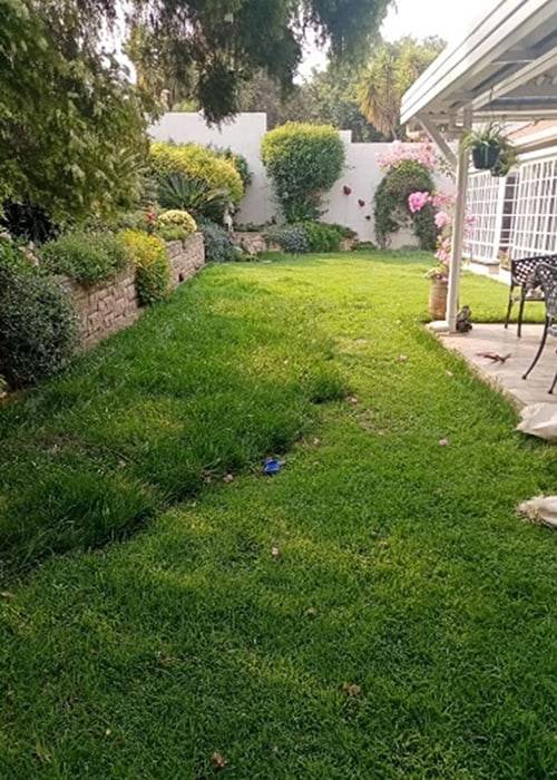 Tina Instant Lawns | Lawn Care