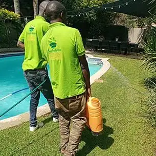 lawn treatment pest disease control in lawn flower beds