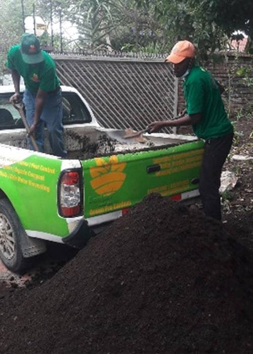 Instant Lawn Lawn Care | Instant Lawns
