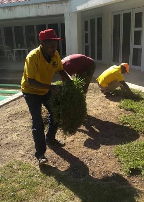 Instant Lawn Lawn Care | Instant Lawns