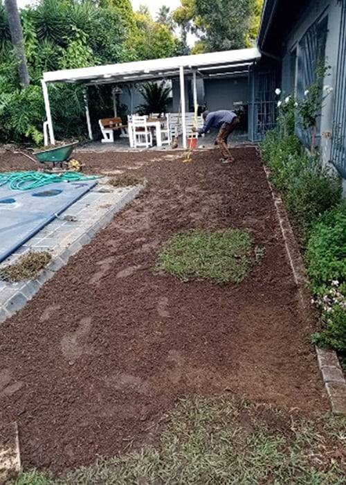 Tina Instant Lawns | Lawn Care