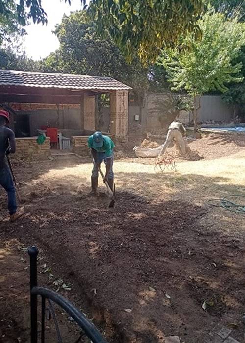 Theo Garden Maintenance | Instant Lawns | Lawn Care