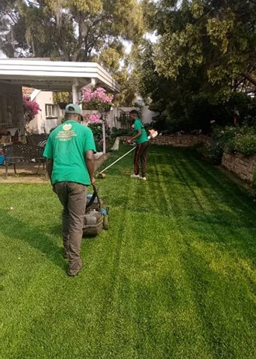 Tina Instant Lawns | Lawn Care