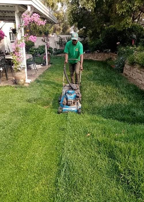 Tina Instant Lawns | Lawn Care