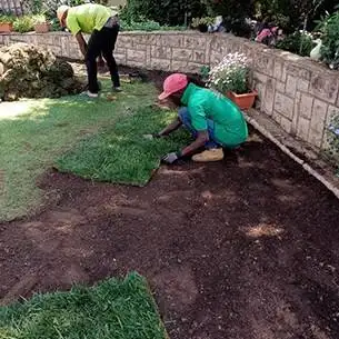 
placing evergreen instant lawn organic compost