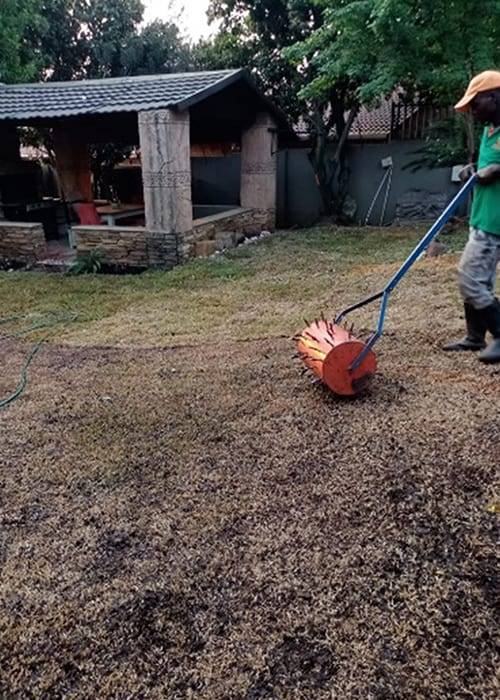 Theo Garden Maintenance | Instant Lawns | Lawn Care