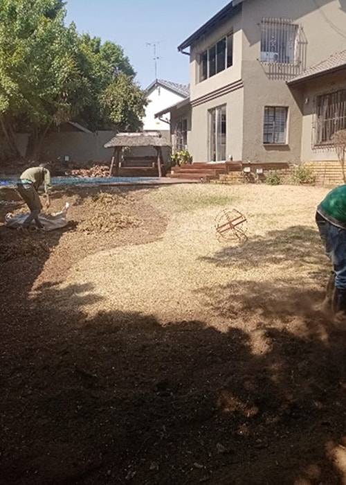 Theo Garden Maintenance | Instant Lawns | Lawn Care