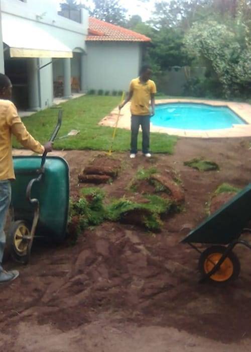 Instant Lawn Lawn Care | Instant Lawns