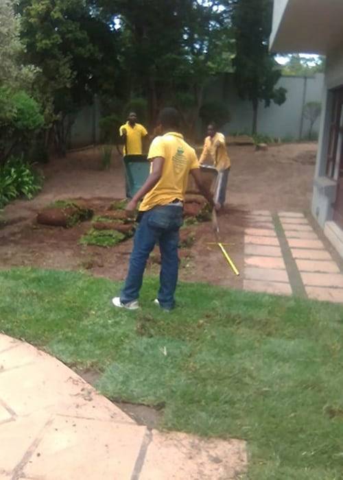Instant Lawn Lawn Care | Instant Lawns