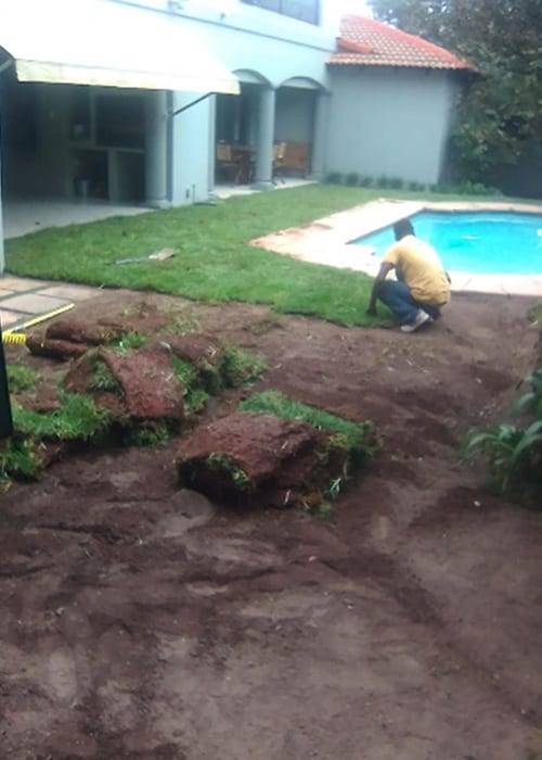 Instant Lawn Lawn Care | Instant Lawns