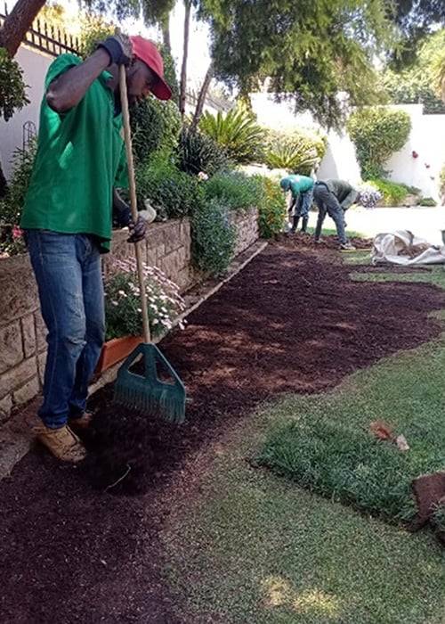 Tina Instant Lawns | Lawn Care