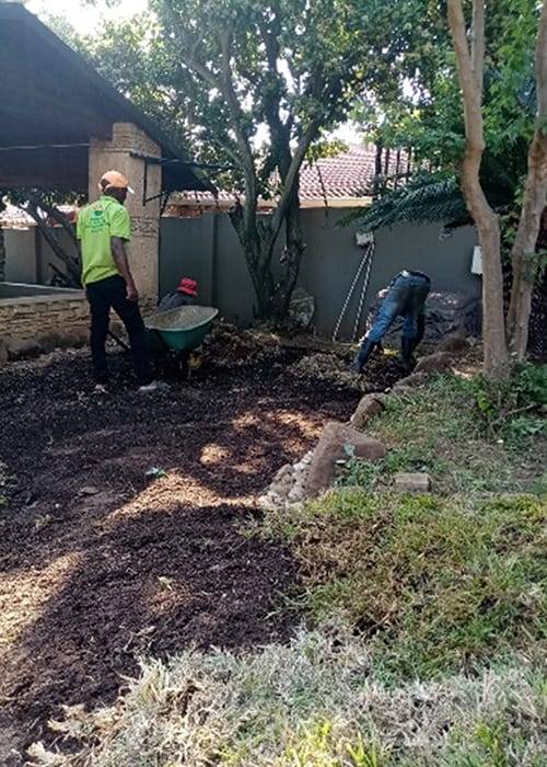 Theo Garden Maintenance | Instant Lawns | Lawn Care