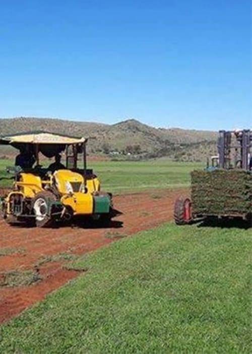 Instant Lawn Lawn Care | Instant Lawns