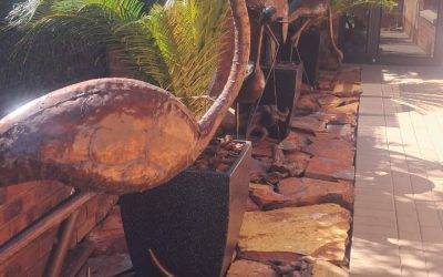 Lawn Care & Maintenance