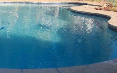 Swimming Pool Services